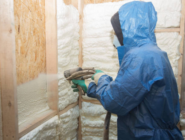 Professional Insulation in Waialua, HI